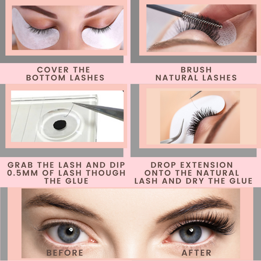 Lash Tip: The Beginner's Guide