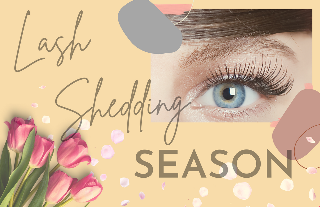 Understanding the Eyelash Shedding Season and Growth Cycles